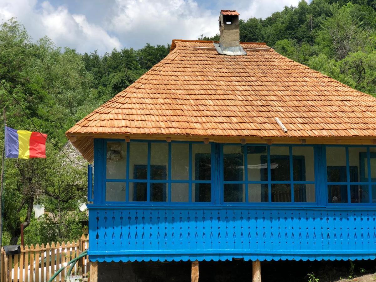 Casa Albastra Villa Baile Olanesti Luaran gambar