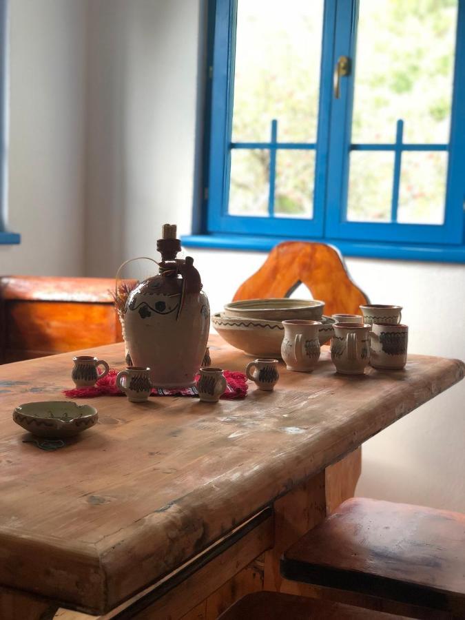 Casa Albastra Villa Baile Olanesti Luaran gambar