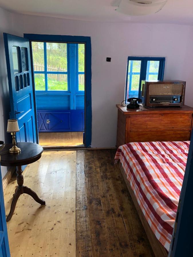 Casa Albastra Villa Baile Olanesti Luaran gambar