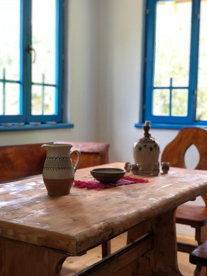 Casa Albastra Villa Baile Olanesti Luaran gambar