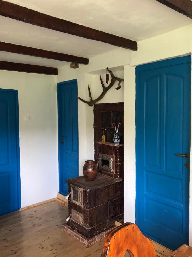 Casa Albastra Villa Baile Olanesti Luaran gambar