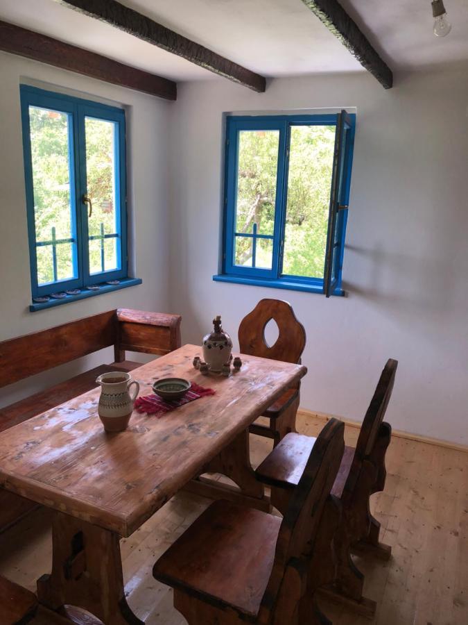 Casa Albastra Villa Baile Olanesti Luaran gambar