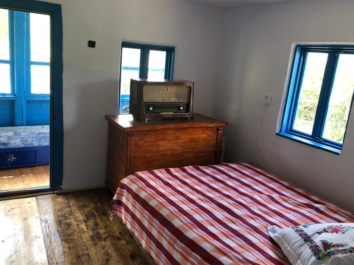 Casa Albastra Villa Baile Olanesti Luaran gambar