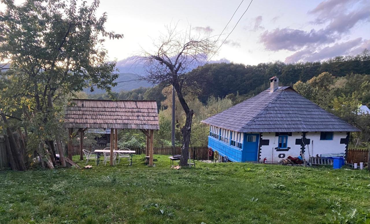 Casa Albastra Villa Baile Olanesti Luaran gambar